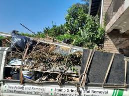 Best Dumpster Rental Services  in Carrollton, VA